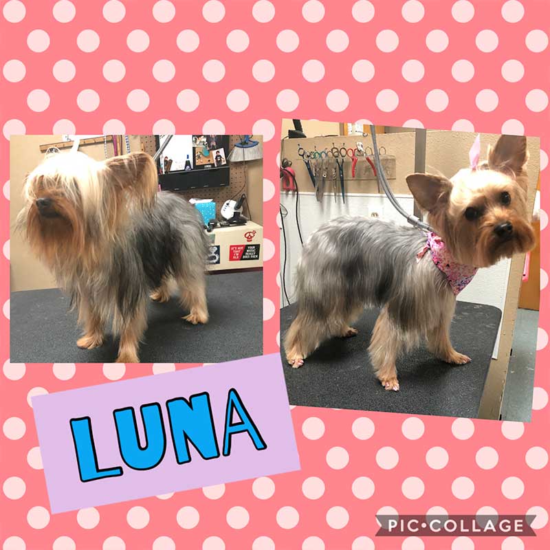 Luna